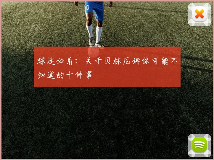 球迷必看：关于贝林厄姆你可能不知道的十件事